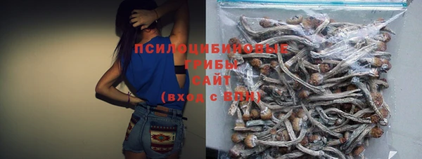 таблы Медногорск
