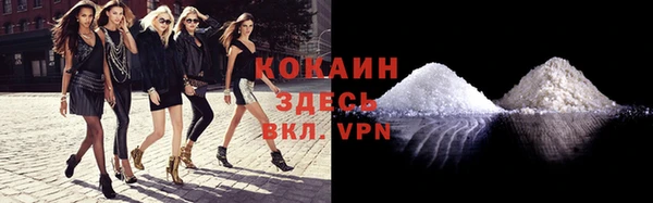 крисы Майский