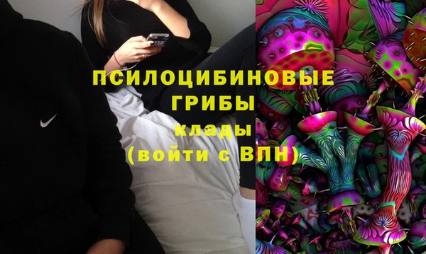 таблы Медногорск