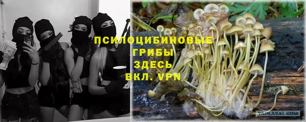ПСИЛОЦИБИНОВЫЕ ГРИБЫ Магадан