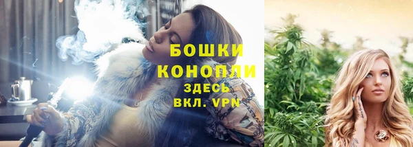 крисы Майский