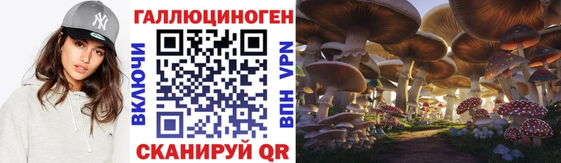 mega ССЫЛКА  Сысерть  Псилоцибиновые грибы MAGIC MUSHROOMS 